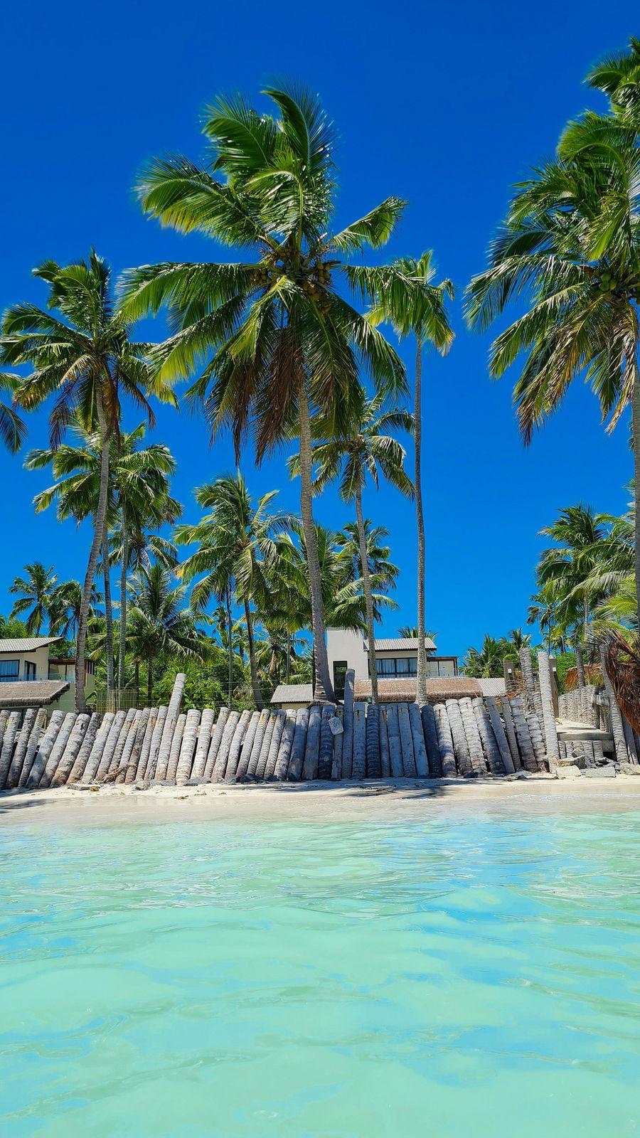 Playa de Porto de Galinhas con cocoteros y agua turquesa